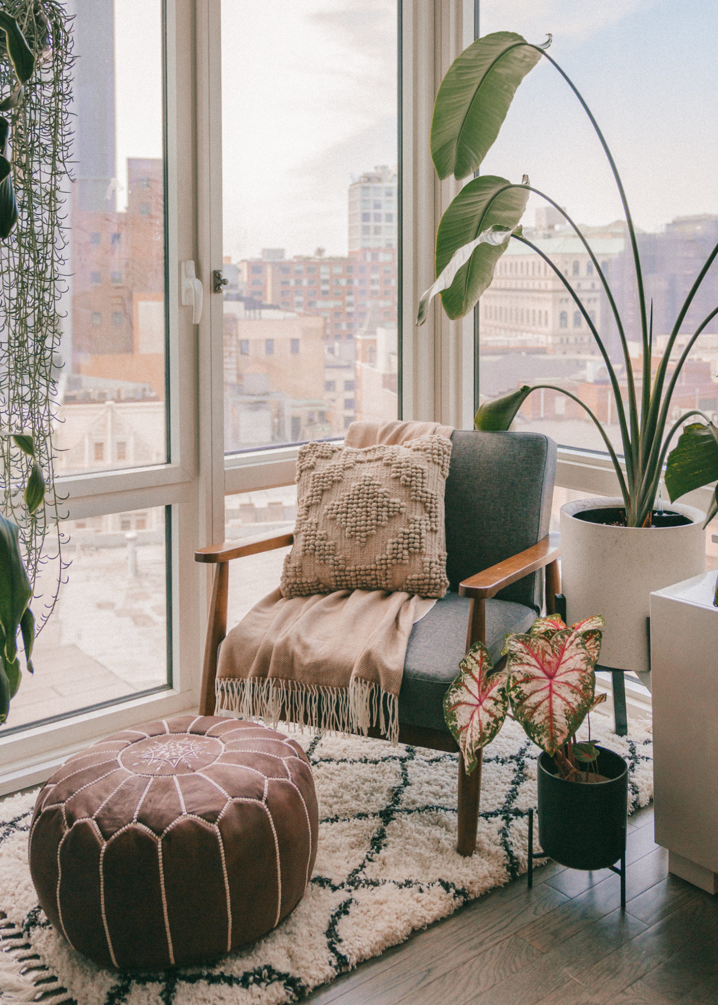 Living room mid-century modern furniture cozy corner nook rug house plants interior decorating home inspo decor NYC Brooklyn Bird of paradise bohemian