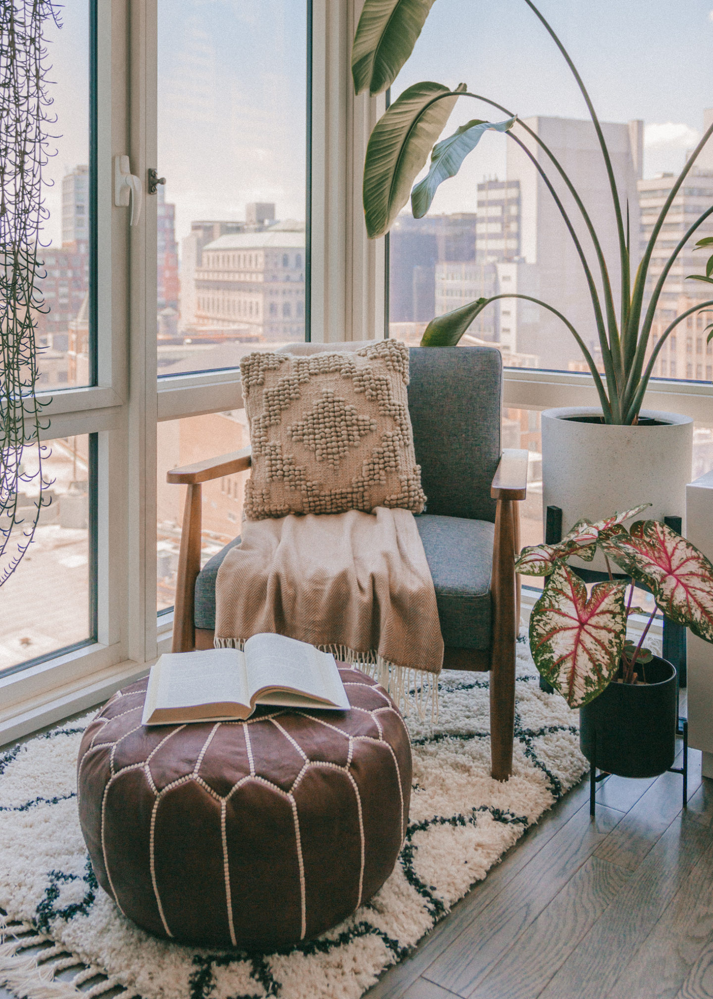 Living room mid-century modern furniture cozy corner nook rug house plants interior decorating home inspo decor NYC Brooklyn Bird of paradise bohemian