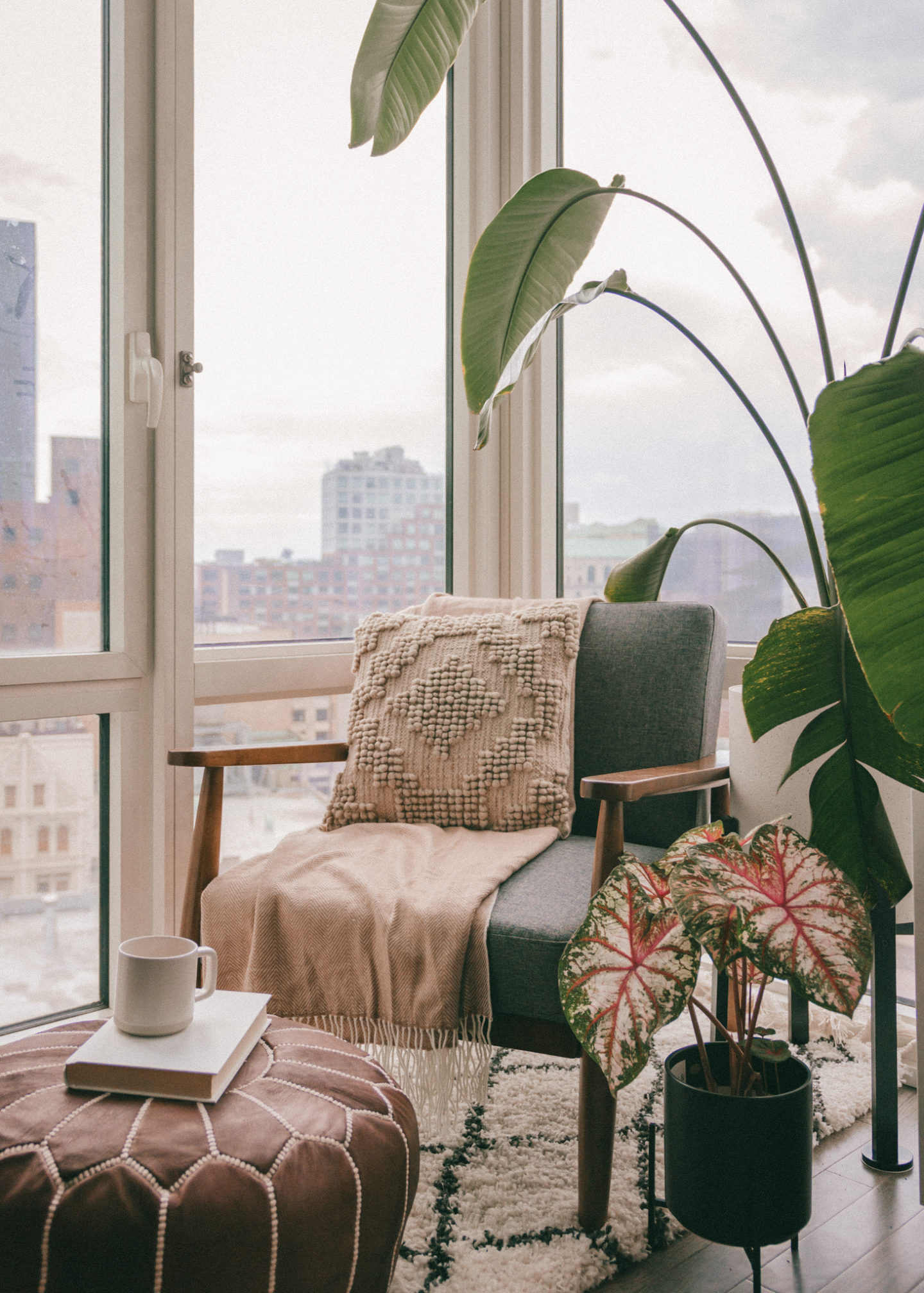 Living room mid-century modern furniture cozy corner nook rug house plants interior decorating home inspo decor NYC Brooklyn Bird of paradise bohemian