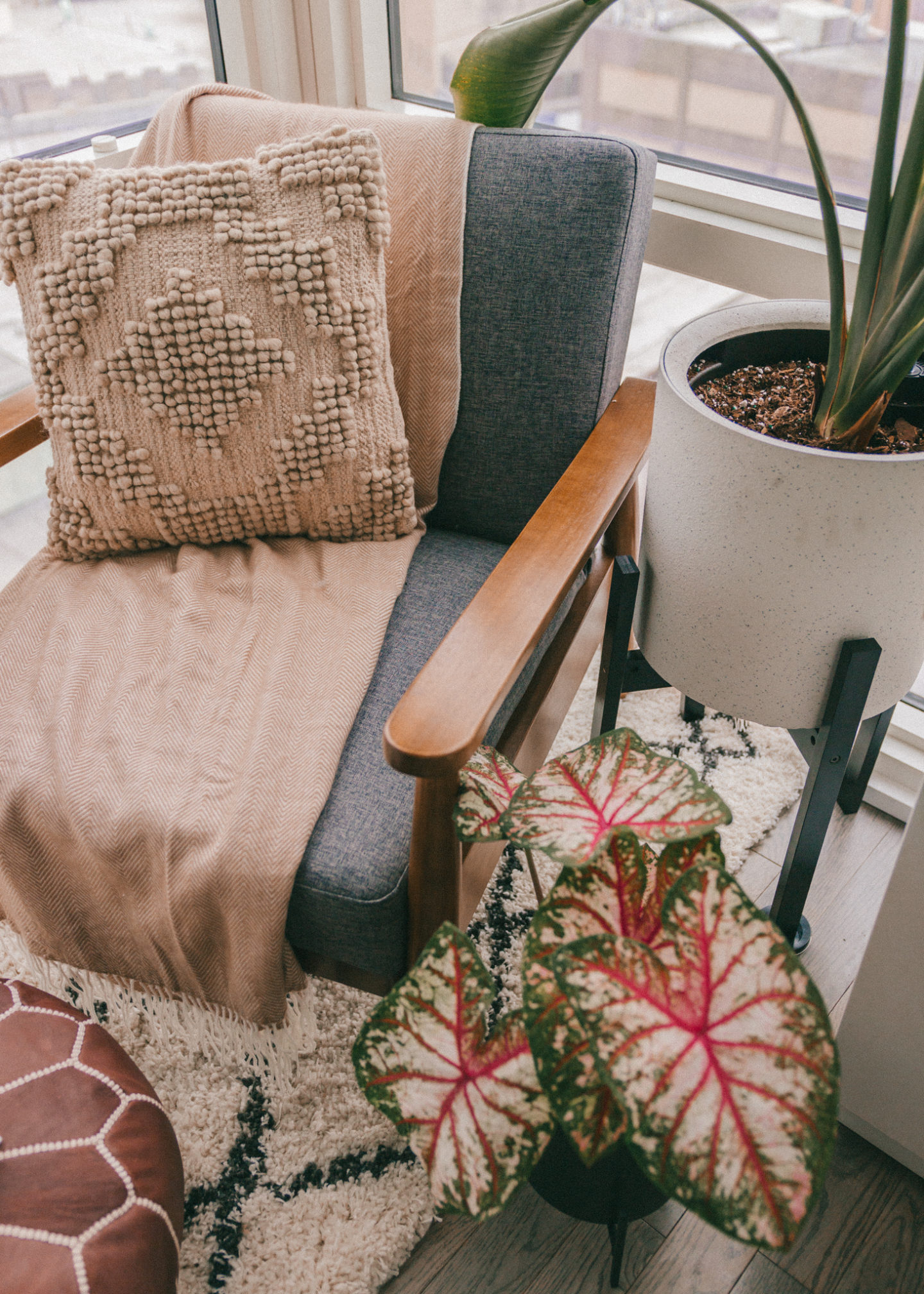 Living room mid-century modern furniture cozy corner nook rug house plants interior decorating home inspo decor NYC Brooklyn Bird of paradise bohemian