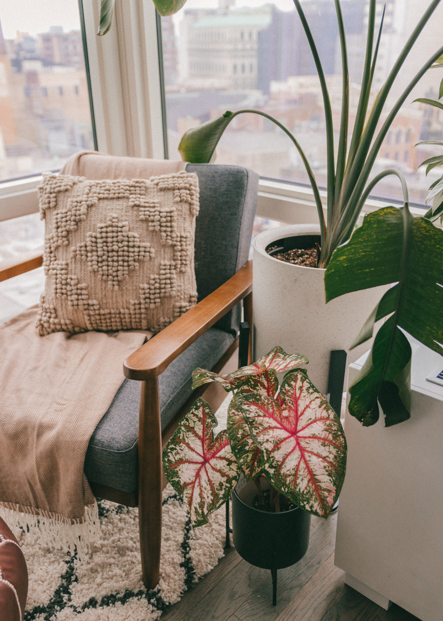 Living room mid-century modern furniture cozy corner nook rug house plants interior decorating home inspo decor NYC Brooklyn Bird of paradise bohemian