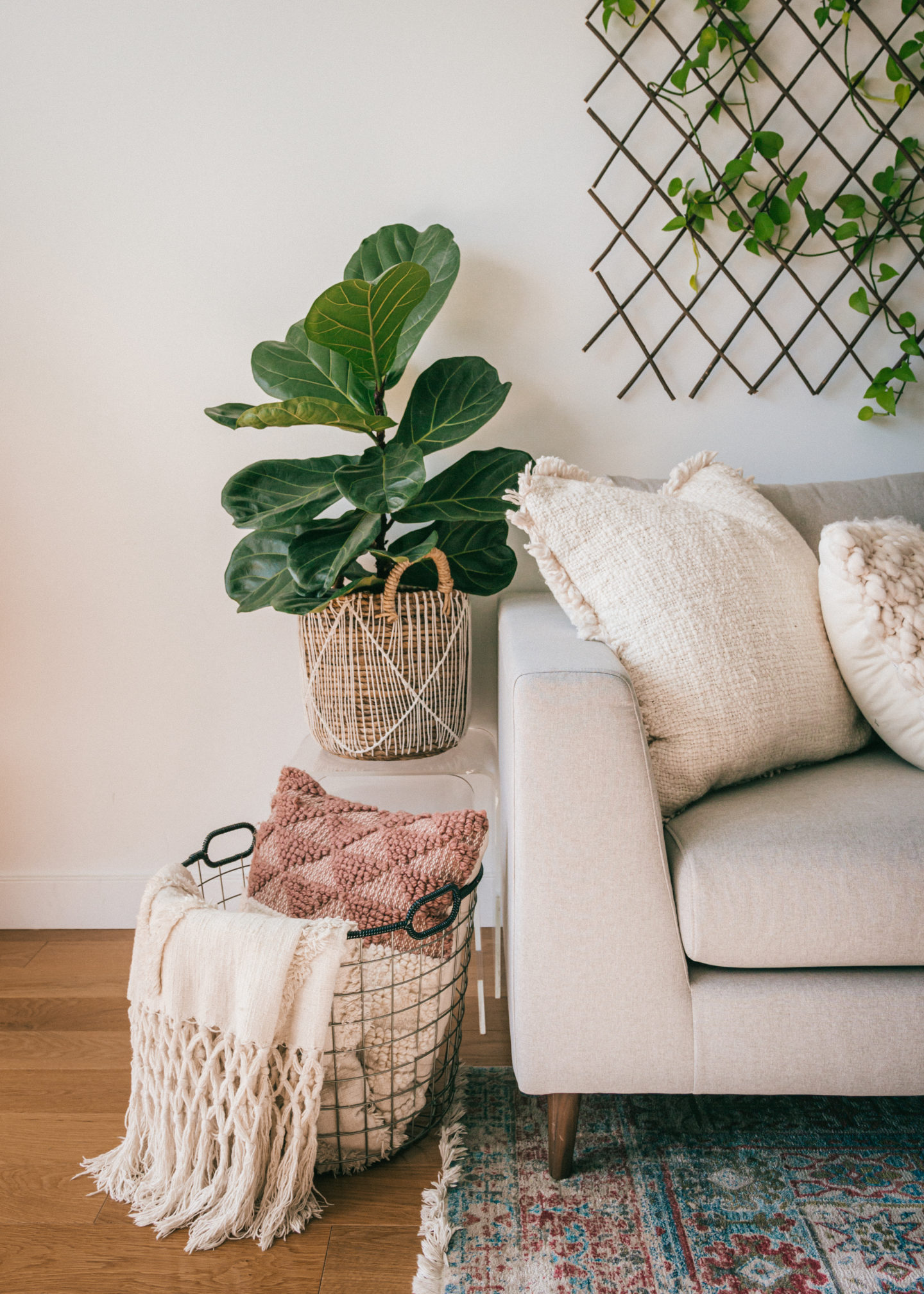 Apartment Living Room Mid Century Modern Cozy Boho Houseplants Urban Jungle Plant Wall Sofa Inspo Interior Decor